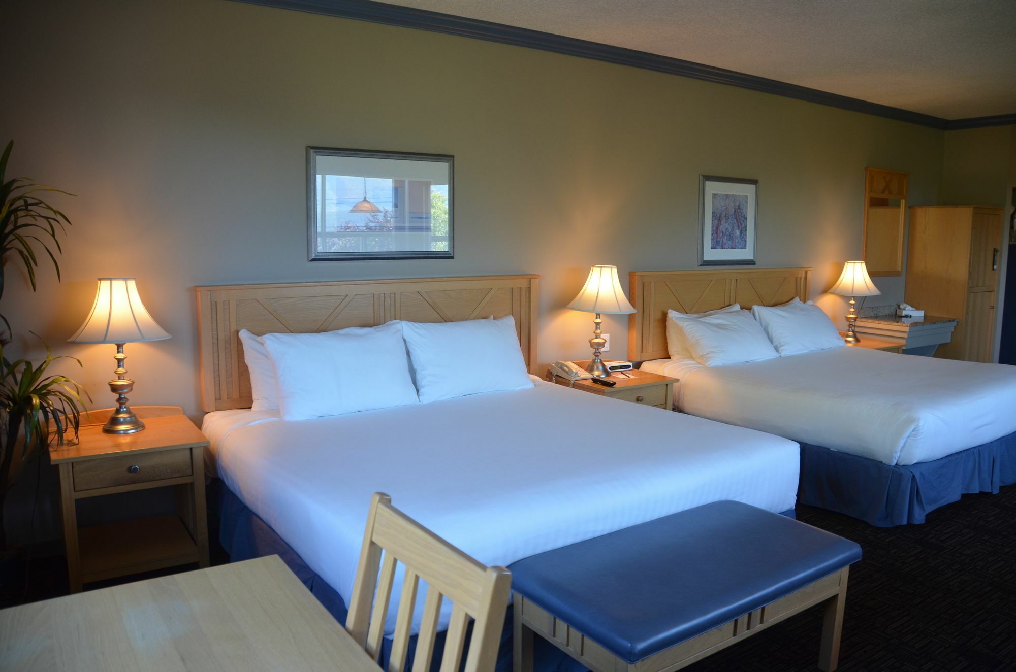 Hilltop Inn - แซลมอนอาร์ม ภายนอก รูปภาพ